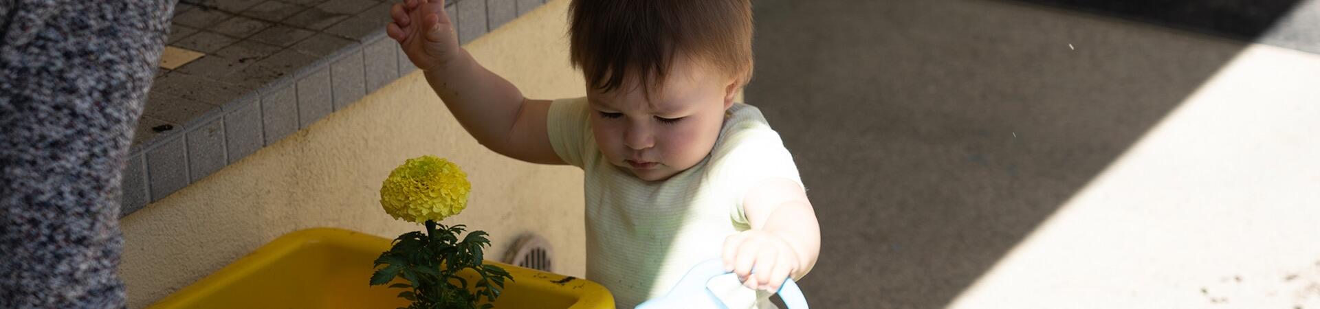An infant helps water plants.
